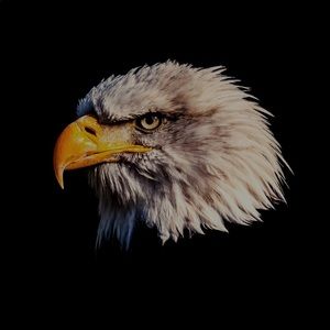 Meet your Posher, Alfonso